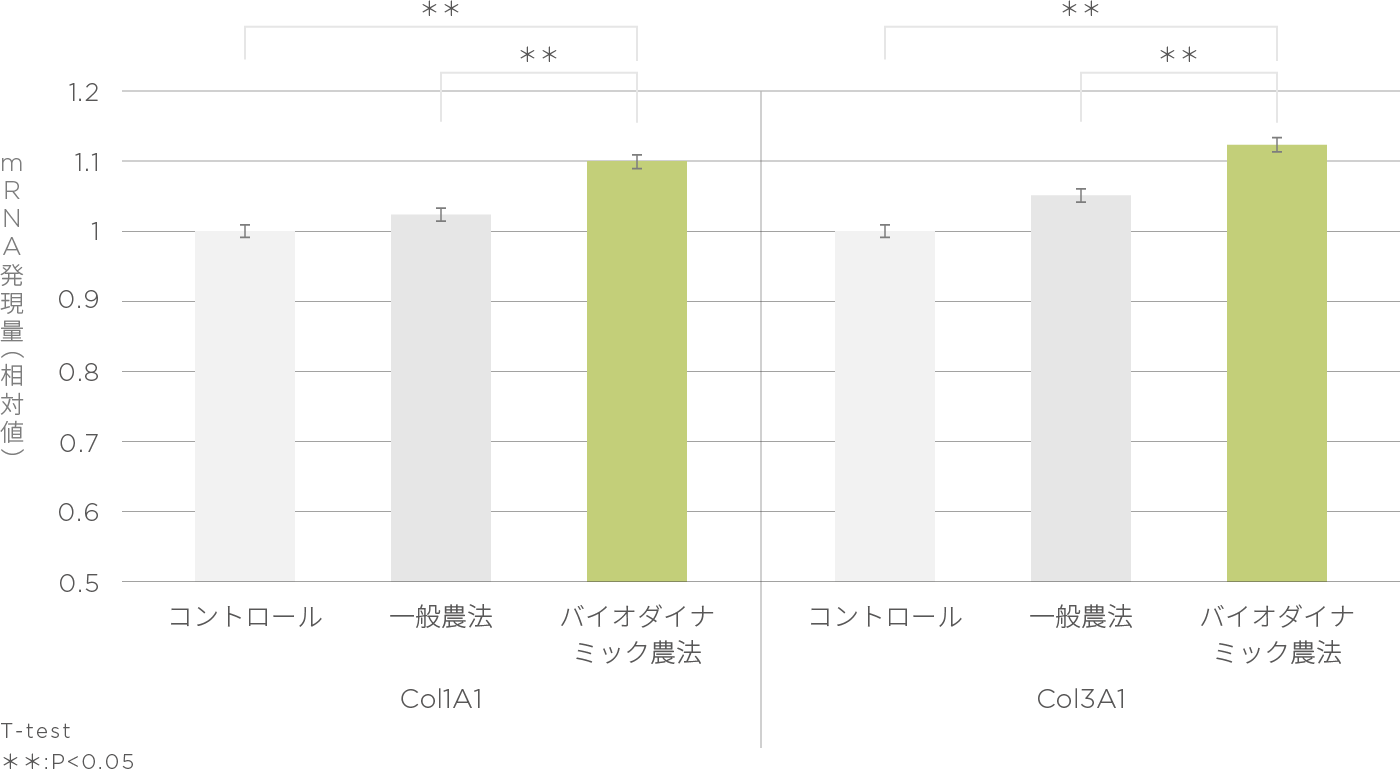 バイオダイナミック農法 VS 一般農法