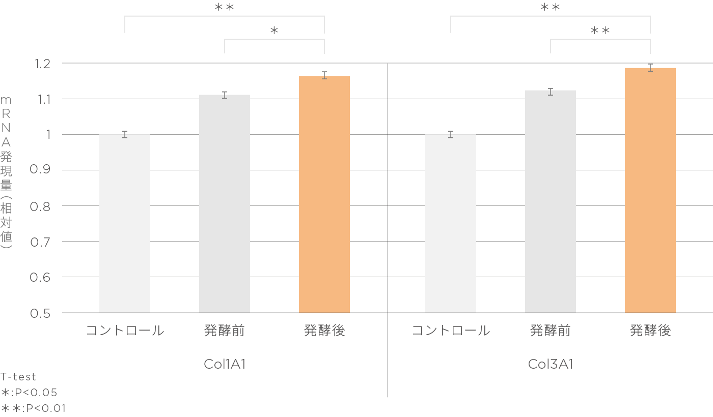 発酵前 VS 発酵後