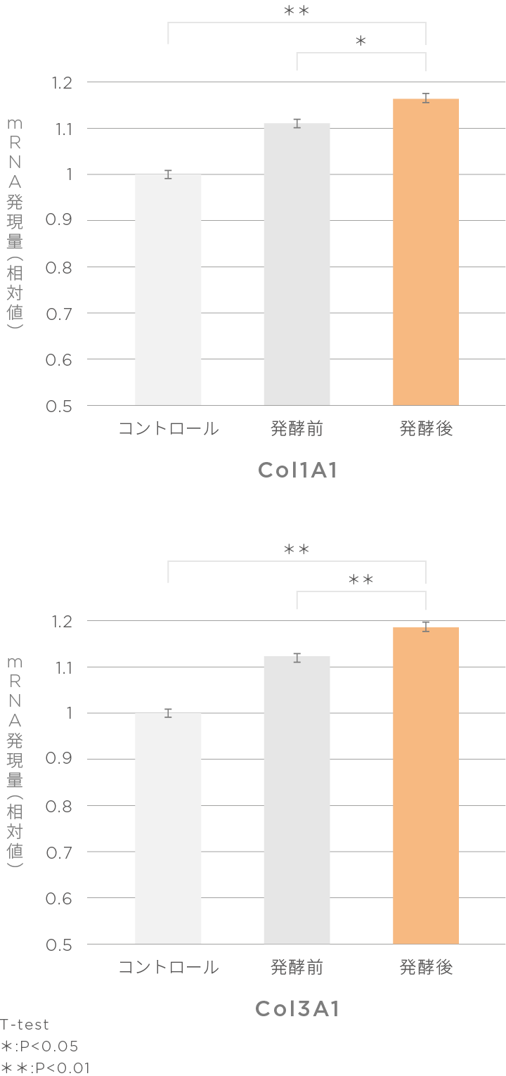 発酵前 VS 発酵後