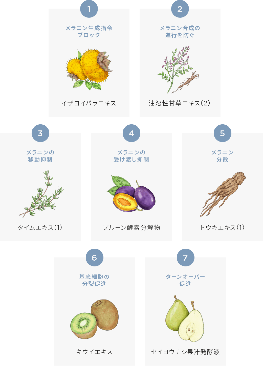 7種の植物エキス