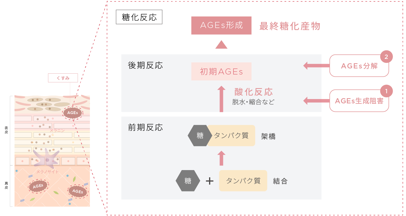 くすみ（面）特化：2つのクリアゲート