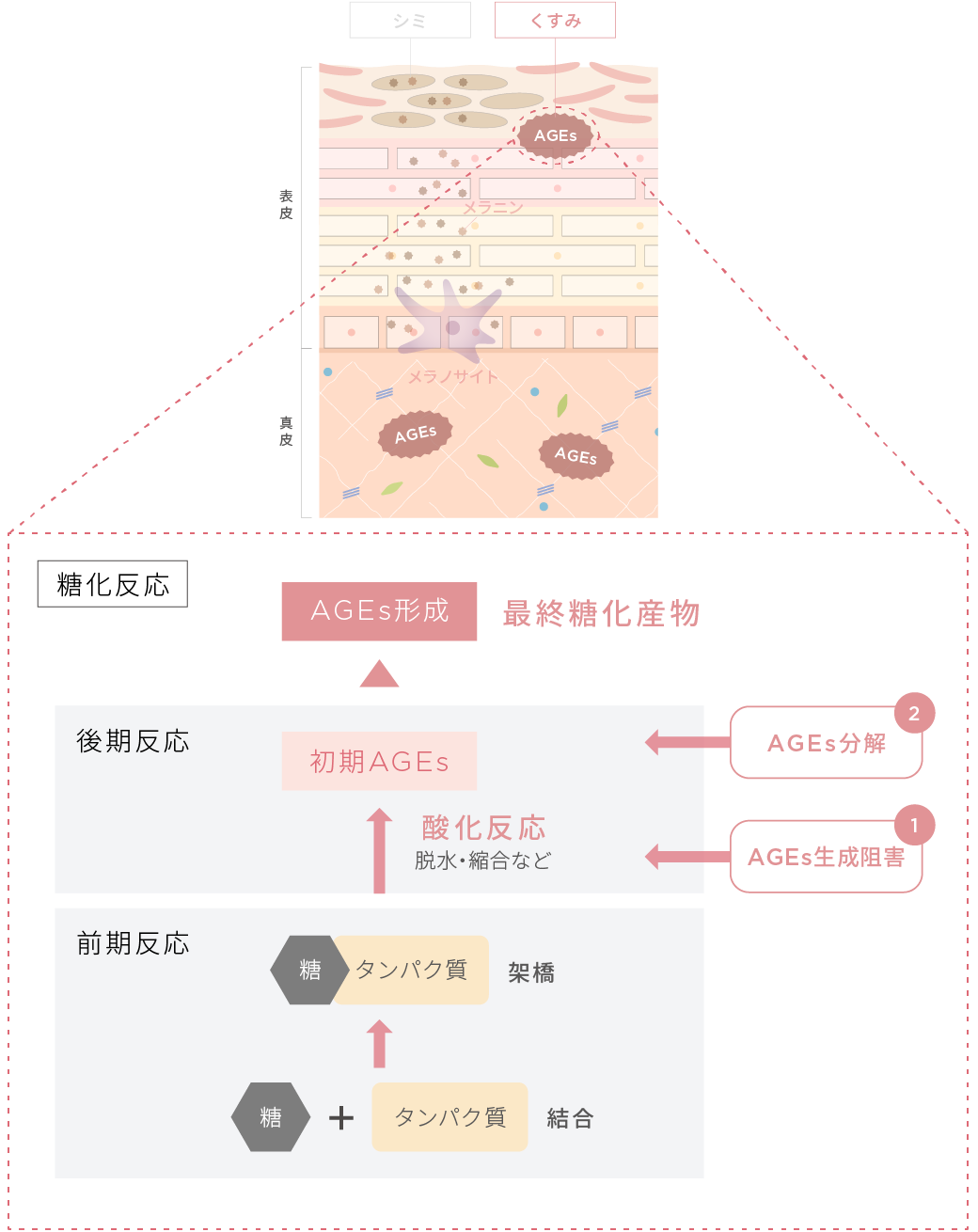 くすみ（面）特化：2つのクリアゲート